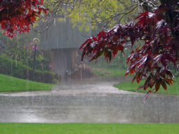 Brooklyn Music Lessons Will Keep You Warm and Dry!