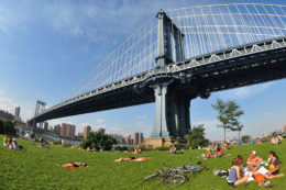 UNDER THE BRIDGE: GEM OF A BROOKLYN NEIGHBORHOOD!