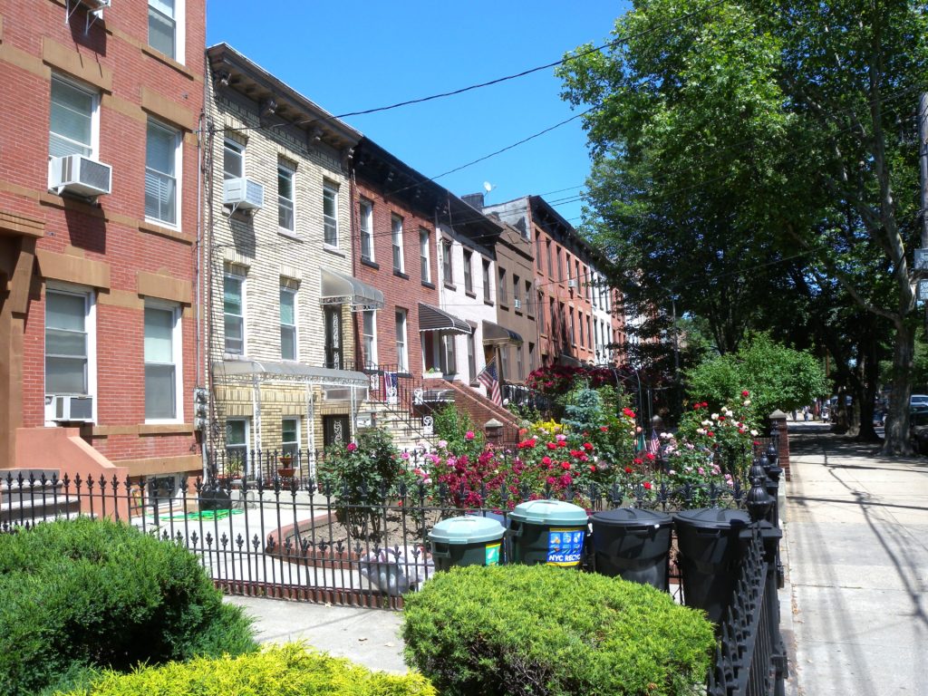 » The Verdant Landscape of Brooklyn’s Carroll Gardens