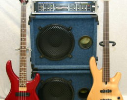 ELECTRIC BASS: AN INSTRUMENT YOU CAN PICK AT