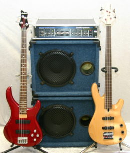 ELECTRIC BASS: AN INSTRUMENT YOU CAN PICK AT